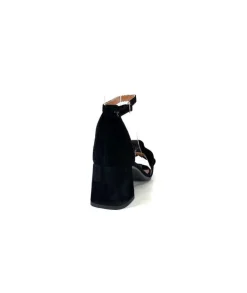 Ivoire 8453770 Daim Noir