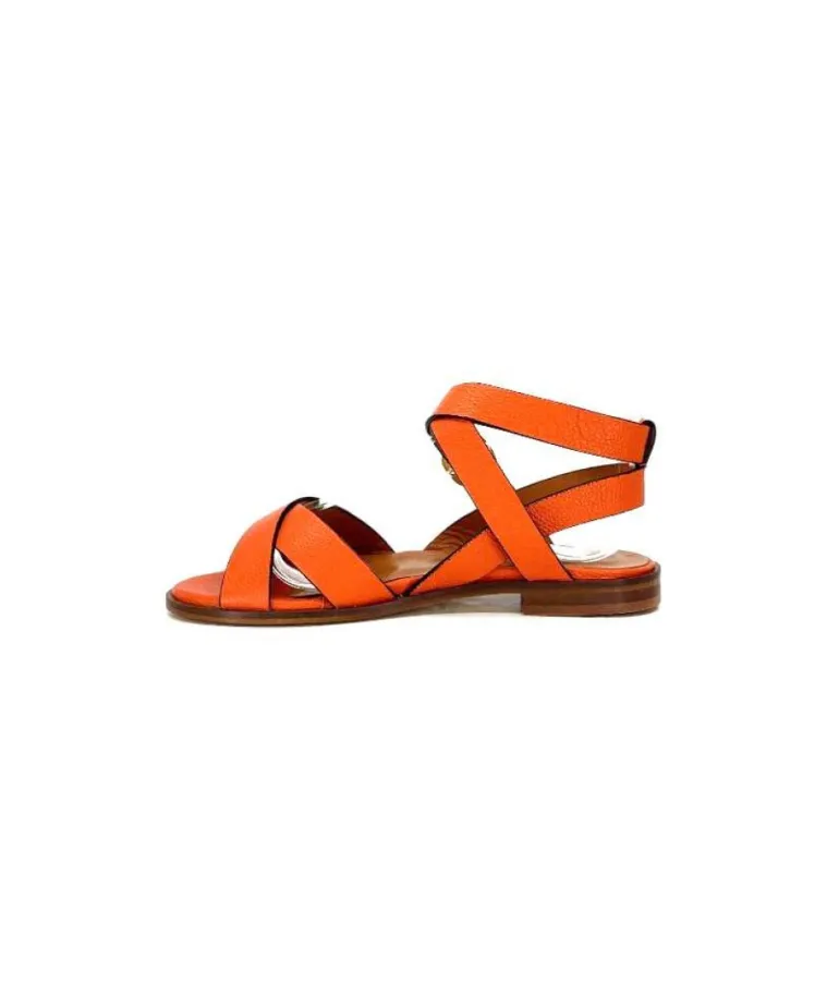 Ivoire 9823 Lv10 Orange