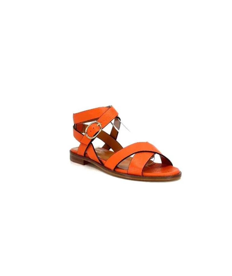 Ivoire 9823 Lv10 Orange