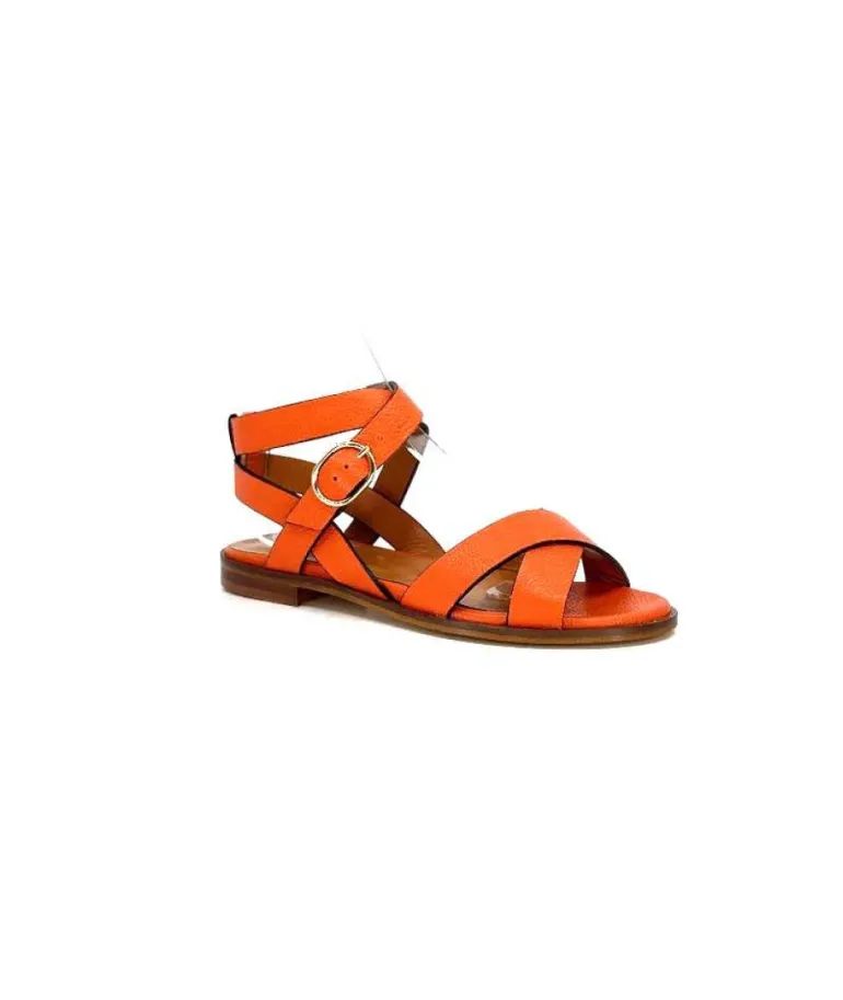 Ivoire 9823 Lv10 Orange