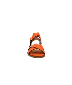 Ivoire 9823 Lv10 Orange