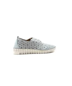 Ivoire Hy 2023.1 Cuir Bleu Ciel