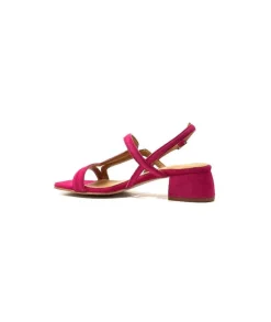 Jhay 9775 Daim Fuchsia
